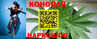 прущие грибы Первоуральск