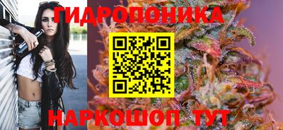 стаф Партизанск