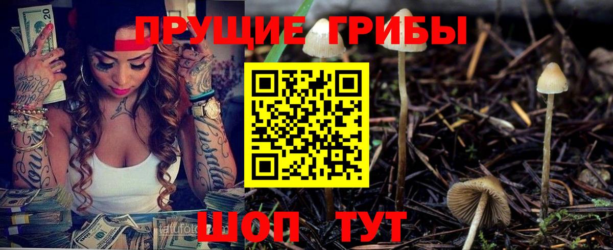 Сергиев Посад  Псилоцибиновые грибы Cubensis  Вход с VPN  Псилоцибиновые грибы MAGIC MUSHROOMS 